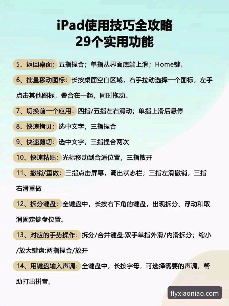 小鸟体育手机版体验详解:移动端功能与使用指南