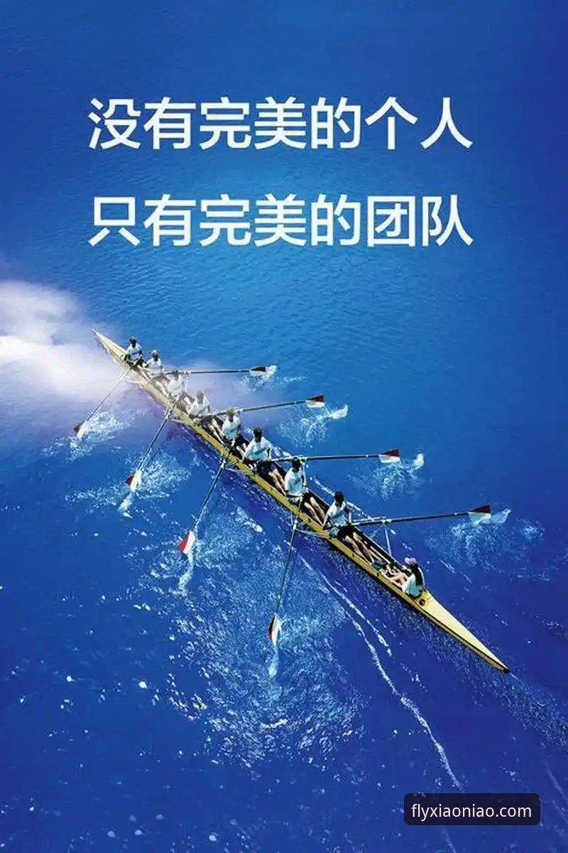 小鸟体育官方入口手机版全面评测:从下载到实战的完整指南